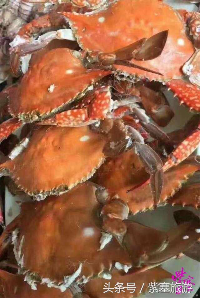 京津冀农家院(紫塞)乡村游攻略八十五:唐山乐亭浅水湾北京人家度假村