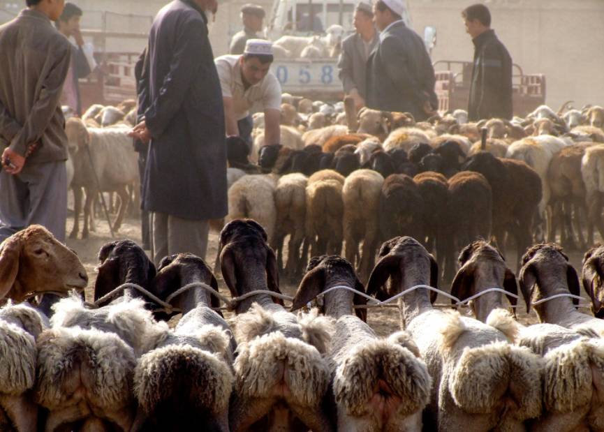 云南旅游穿搭7月旅行,7月贵州旅行攻略三日游