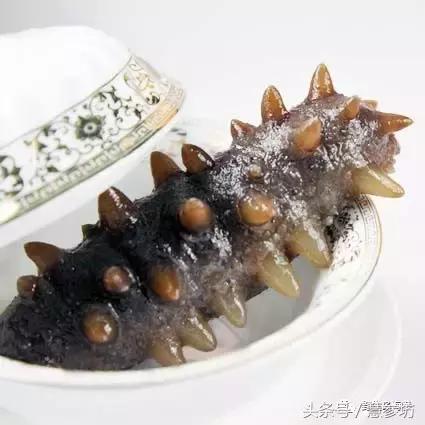 海参为什么会在热播剧中频频出现？你不知道它就out了！