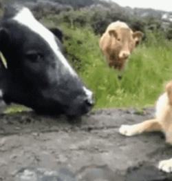 闹动静的不止农药还有暴雪和天刀