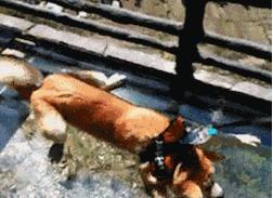 隔壁的wife超好，用起来真爽！