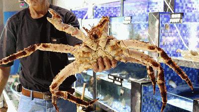 9大商圈100+餐厅5折狂欢!连high4天总有1家是你的菜