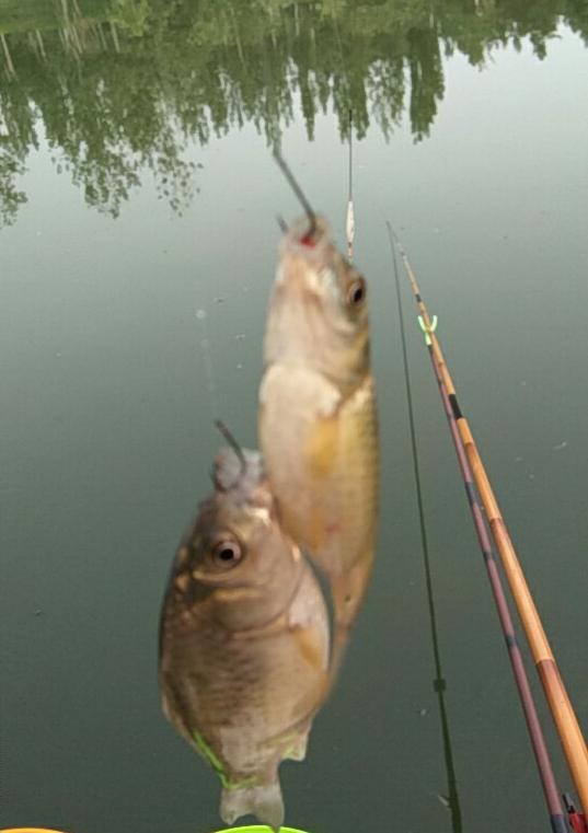 手竿鱼线怎么绑竿子上,钓鱼线与竿的绑法图解