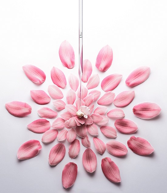 纯天然就是安全的吗,纯天然的就是最好的这句话对吗