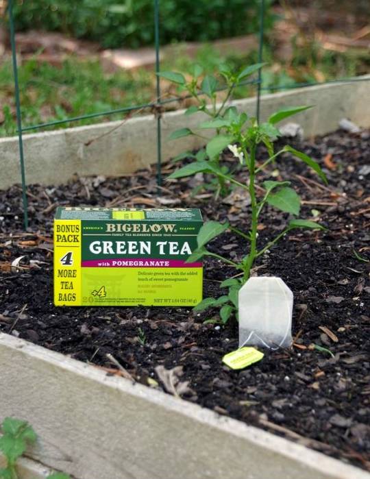 关于隔夜茶的这几个用途,隔夜茶有什么用处千万别扔