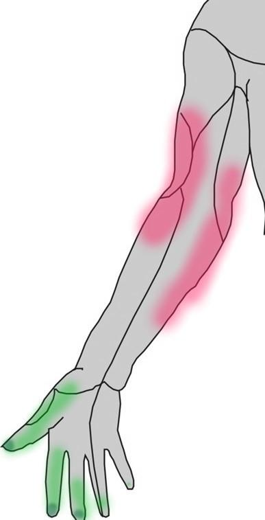 把字写好看技巧正楷,把字写好看的技巧四年级