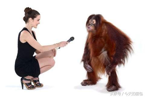 销冠常用的销售话术,销冠就是会说话吗