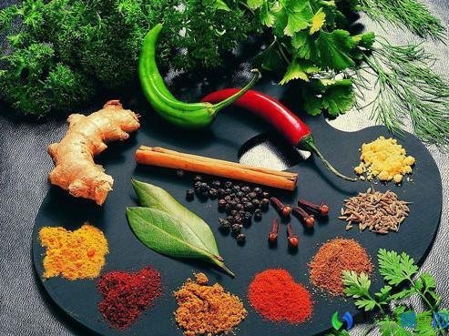 打窝子后怎么钓鱼最好,窝子打了没有鱼