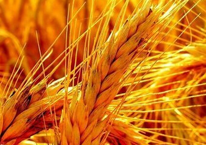 打窝子后怎么钓鱼最好,窝子打了没有鱼