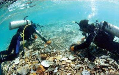 二战中的航母被日本击沉,二战中美国被击沉的航母有哪些