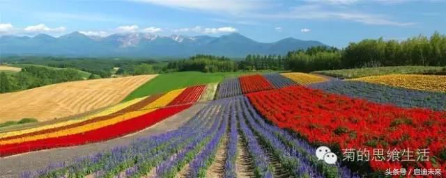 这个暑假是去墨西哥还是大不列颠,这个暑假可以去日本吗