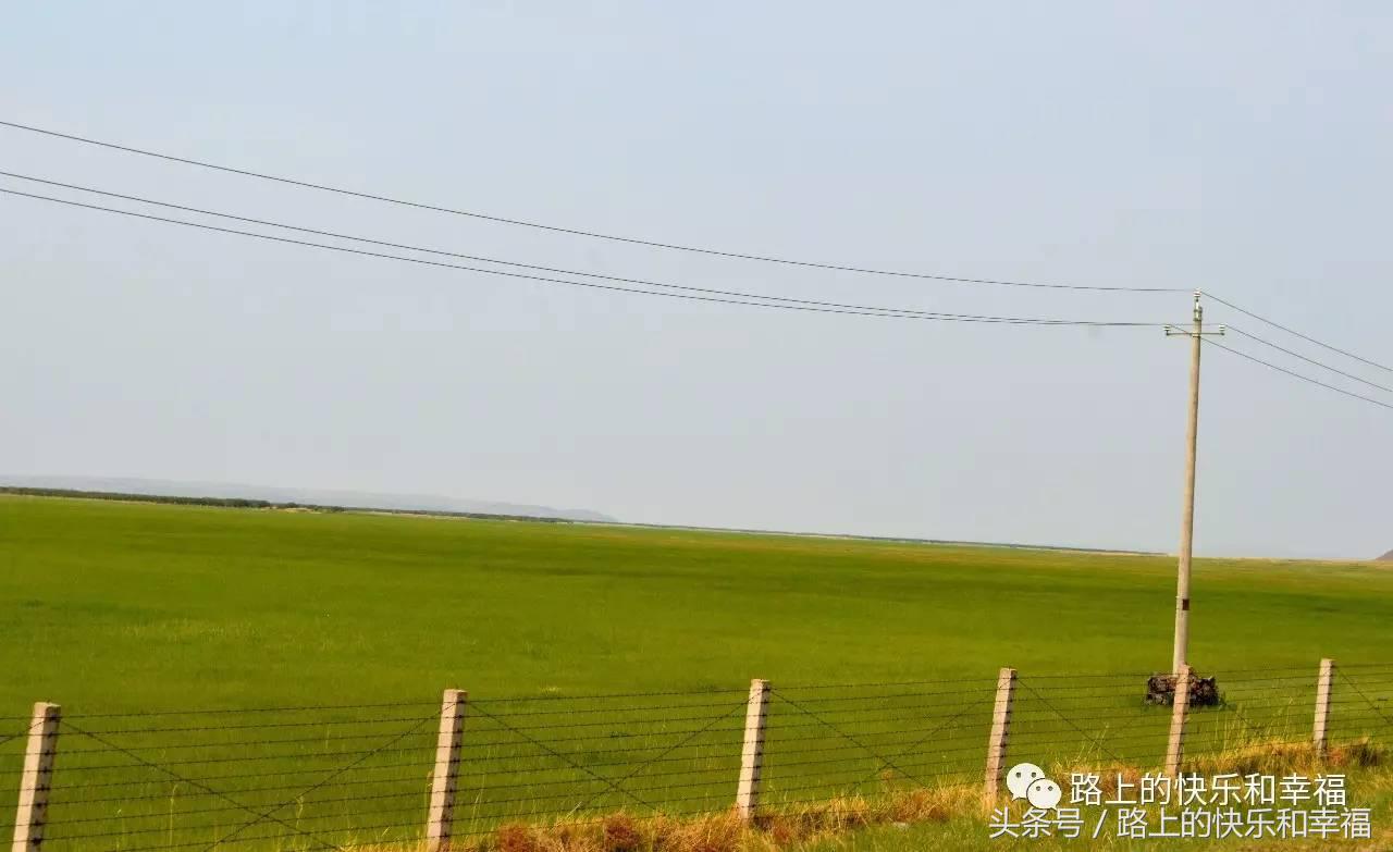 内蒙古呼伦贝尔大草原之行,内蒙呼伦贝尔大草原旅行