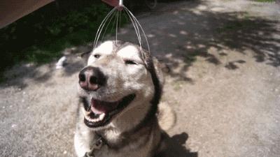 听说你不开心,听说你不开心沙雕片段