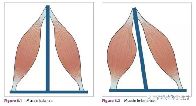 xo型腿怎么矫正和瘦腿,xo型腿怎么矫正视频