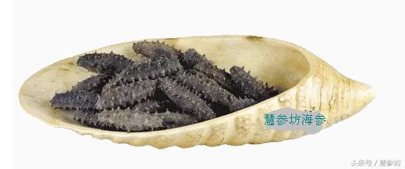 海参为什么会在热播剧中频频出现？你不知道它就out了！