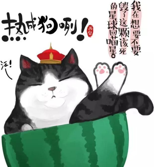 雅思读写的技巧,过雅思