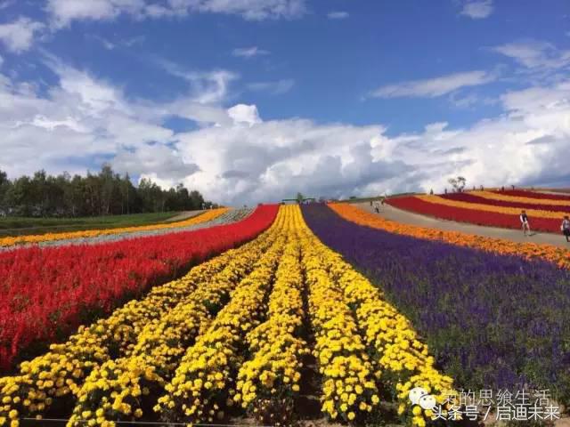 这个暑假是去墨西哥还是大不列颠,这个暑假可以去日本吗