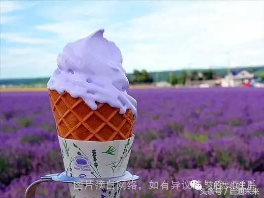 这个暑假是去墨西哥还是大不列颠,这个暑假可以去日本吗