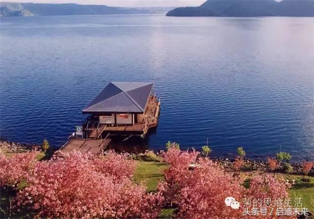 这个暑假是去墨西哥还是大不列颠,这个暑假可以去日本吗