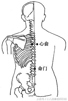 三伏贴都贴哪些穴位,三伏贴适合贴什么穴位呢