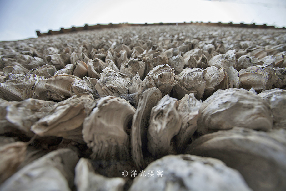 番禺古村落沙湾古镇,体验岭南粤韵之旅沙湾古镇半日游