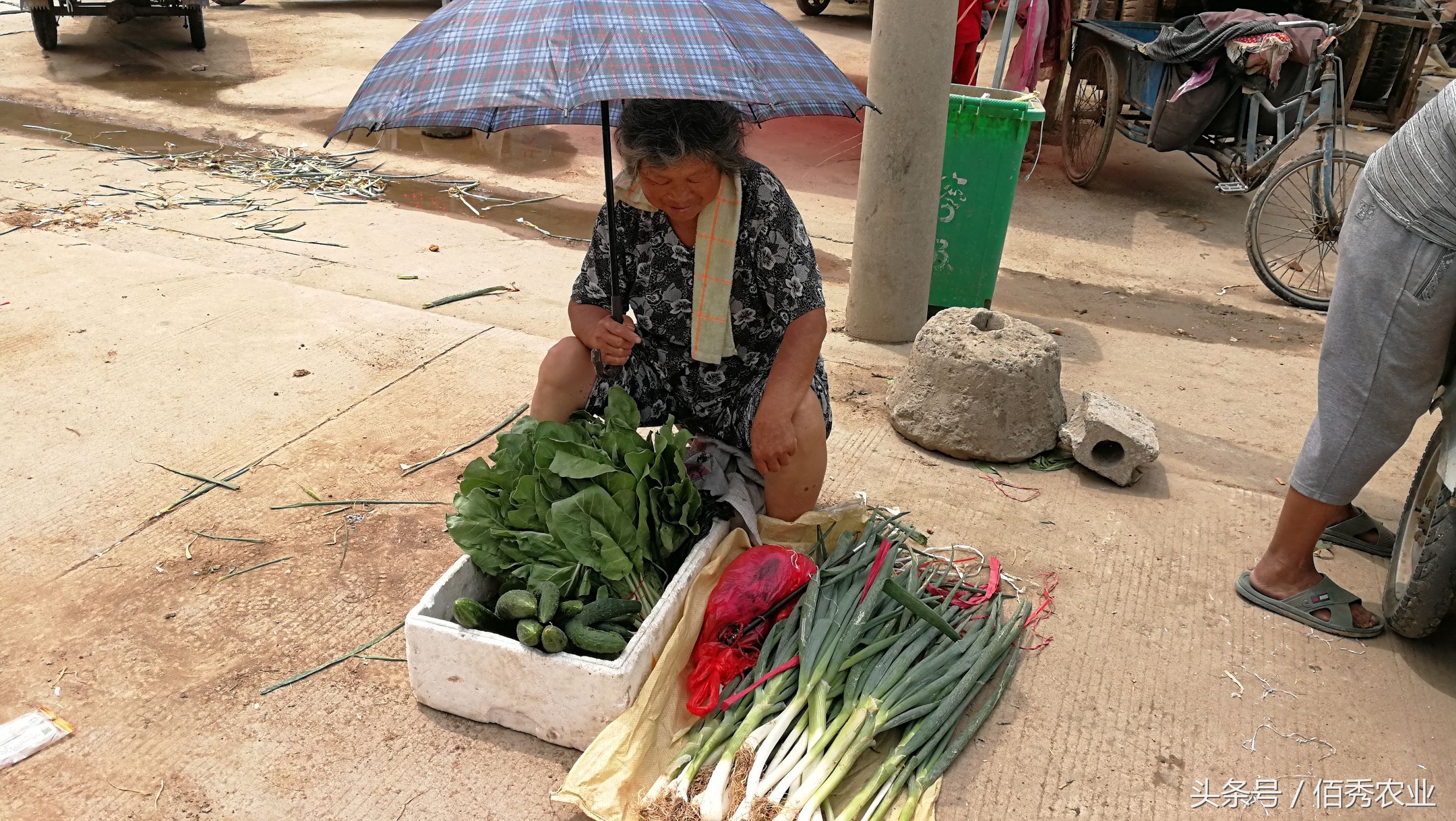 脸红！你在城里享福，父母却在农村做这种事！