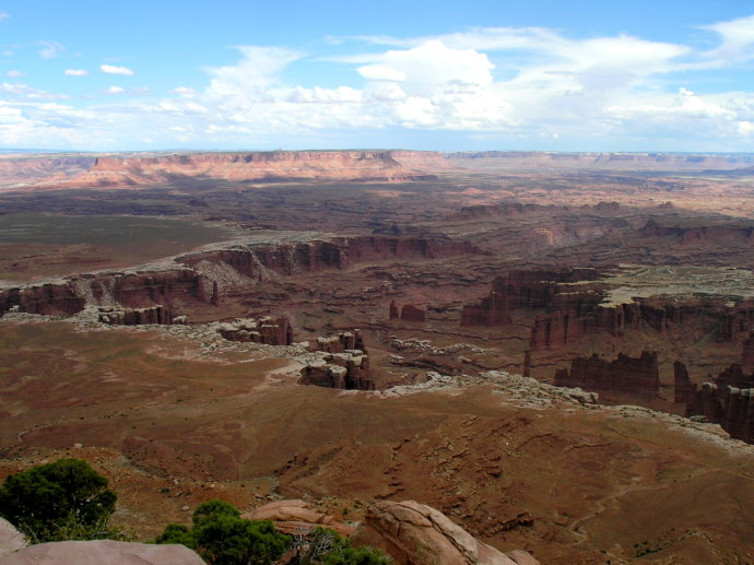 美西大峡谷简介,美国红杉国家公园一日游