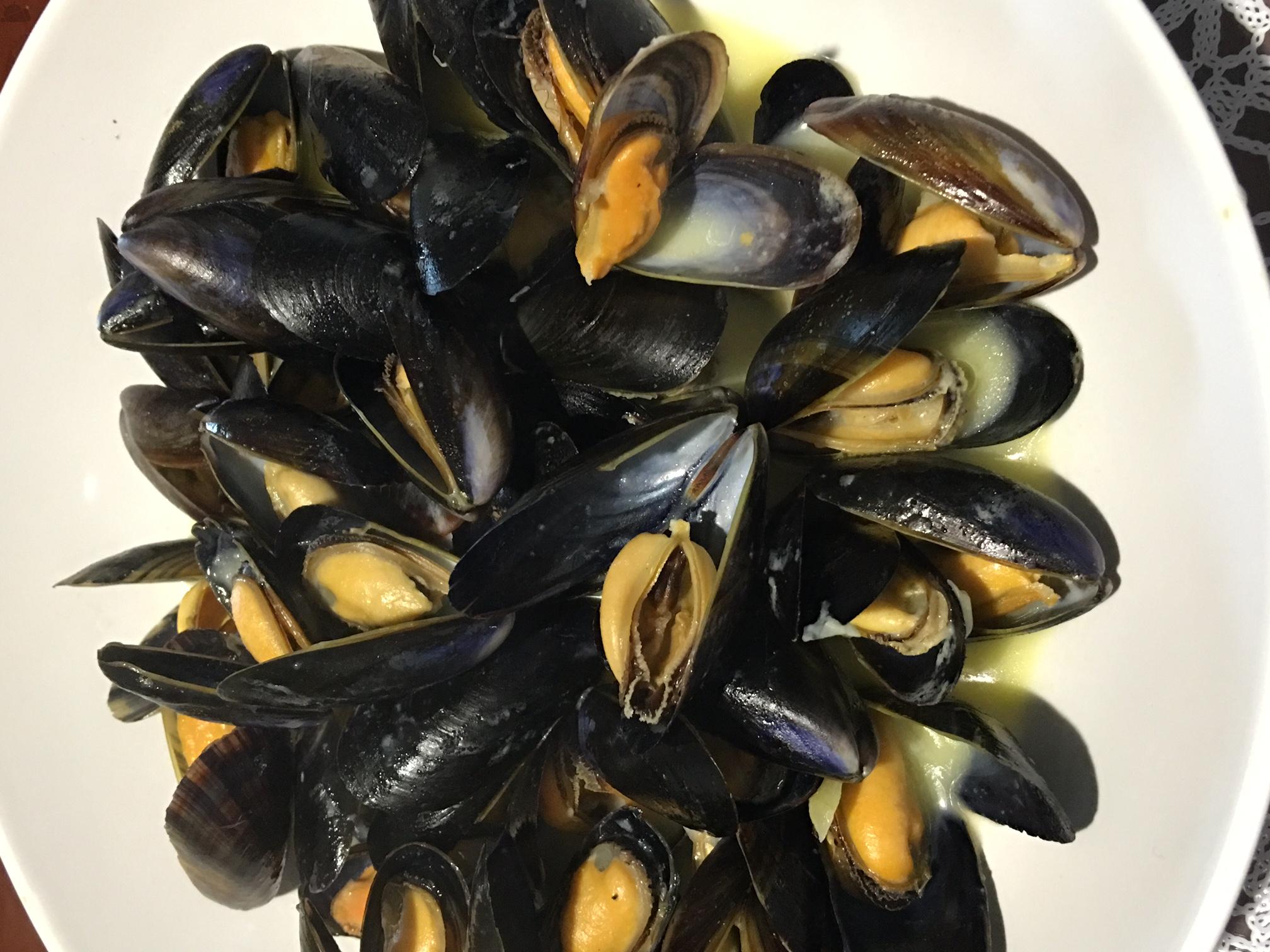 全球最好吃的五种贝类,你见过的贝类有哪些