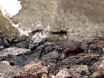 探秘青海湖湟鱼洄游,一年一度青海湖湟鱼洄游