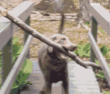 高中数学解析几何大量速解,高中数学几何题解题技巧用向量