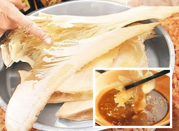 鲍鱼鱼翅的营养价值,鲍鱼鱼翅的营养成分真的高吗