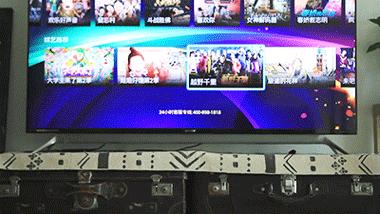 夏普电视以前的辉煌,夏普巅峰