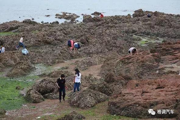 毕业青岛旅游攻略,青岛毕业旅行三日游
