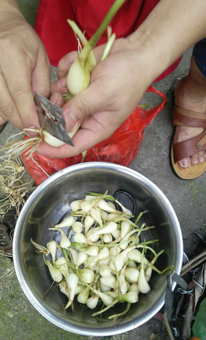 藠头的腌制方法最简单的,腌酸甜藠头的做法