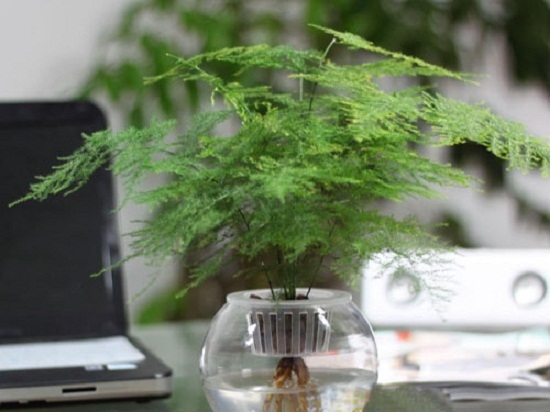 惬意的小资生活是什么,小资生活就是这么简单的