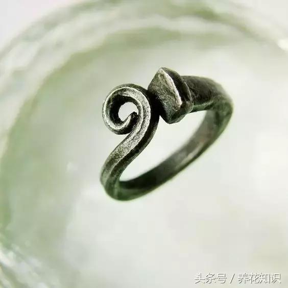 水养一年四季不黄叶的植物,水里加点什么花养得好