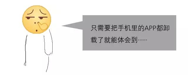 淘宝网发展历程给我们的启示,淘宝网的发展历程和现状