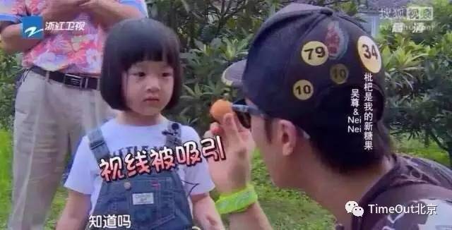 夏季驱蚊大作战你准备好了吗,夏日防蚊驱蚊大作战