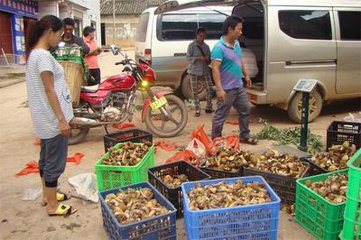 一千元小本创业农村,东北农村小本创业项目