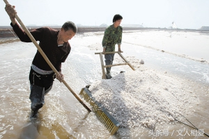 人不吃盐会怎么样？伟大的中华文明因盐而起，成就了一部追逐盐的历史