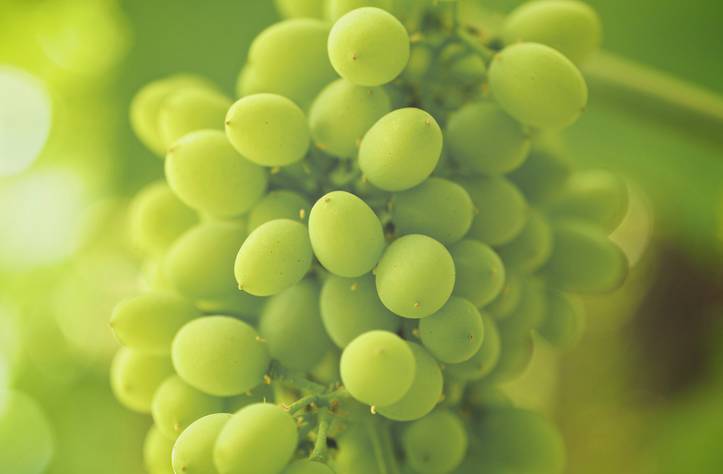 云南旅游穿搭7月旅行,7月贵州旅行攻略三日游