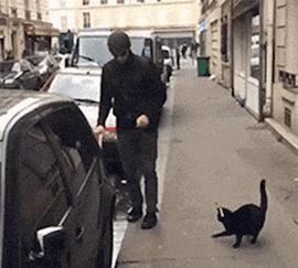 隔壁的wife超好，用起来真爽！