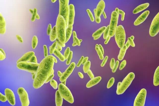 布鲁氏菌病血清学检测的方法,布鲁氏菌病是什么病怎么治疗