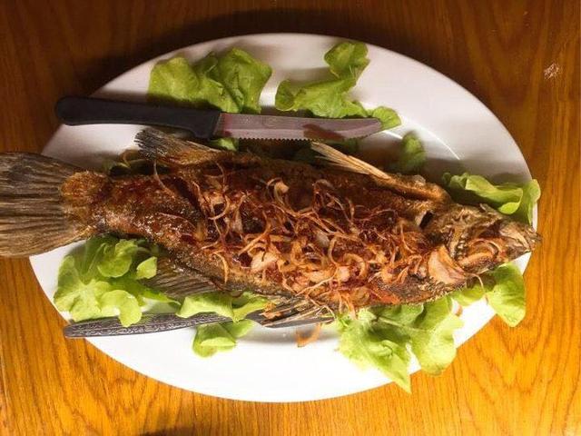 啦啦旅行-此文有毒!看完导致胃疼.....