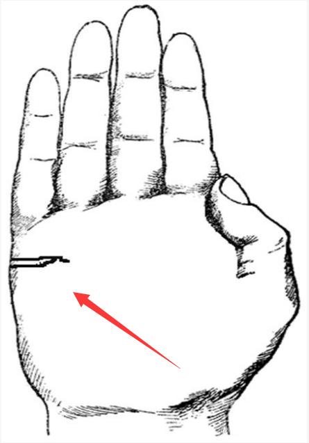 婚姻线不好就代表婚姻不幸福吗,当心婚姻的生肖