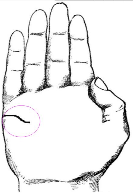 婚姻线不好就代表婚姻不幸福吗,当心婚姻的生肖