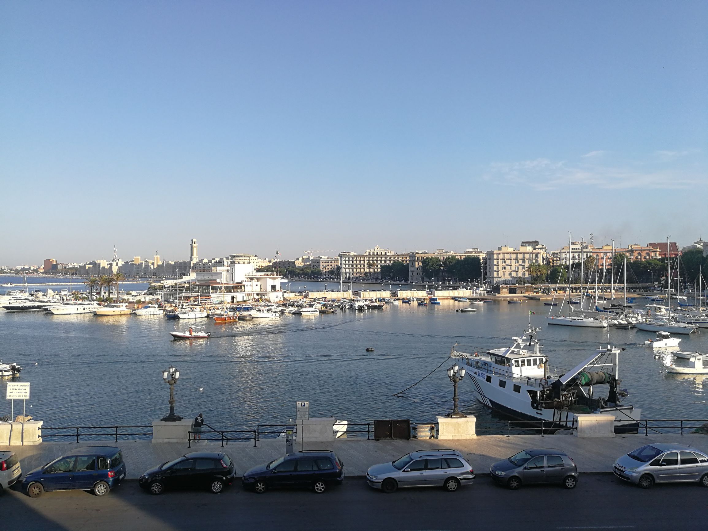 千年古老犬种卡斯罗,寻根之旅巴里坤