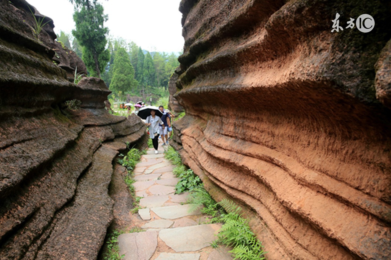 第84讲一网打尽数词、序数词、分数词、百分数、小数词、编号和地址的写法和变形！