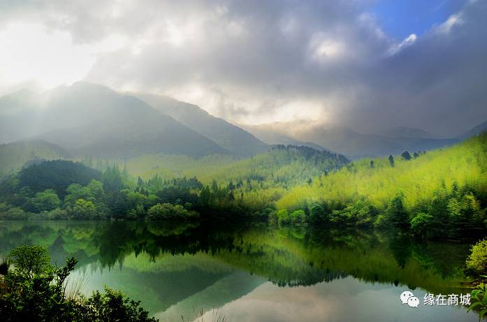 盛夏七月,商城县这几个地方被避暑游客挤爆了……