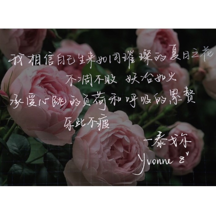 愿情话终有归属,愿情话终有主你我不孤